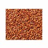 Sorghum - Sorgo bicolor sin tratamiento