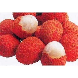 Litchi Chinensis - Lichi . Ciruela de China