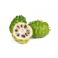 Morinda Citrifolia - Noni