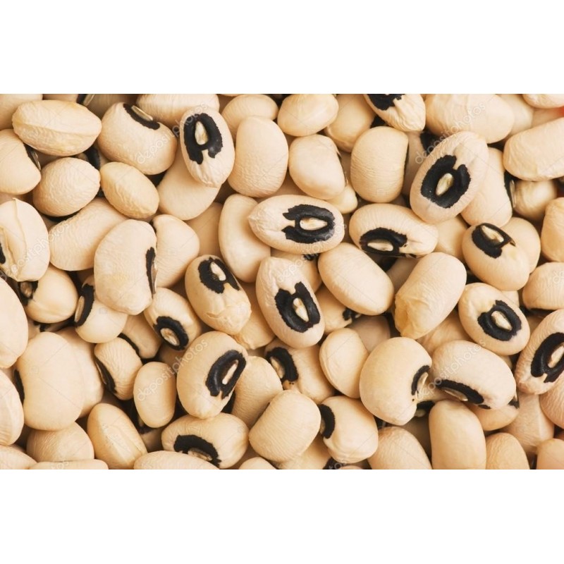 Vigna Unguiculata -cowpea. Frijol caupi o frijol carita