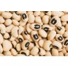 Vigna Unguiculata -cowpea. Frijol caupi o frijol carita