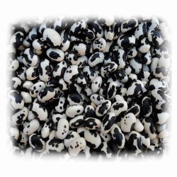 Vigna Unguiculata Cowpea -Yin Yang o frijol vaquita 50...