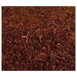 Peat Moss o Turba