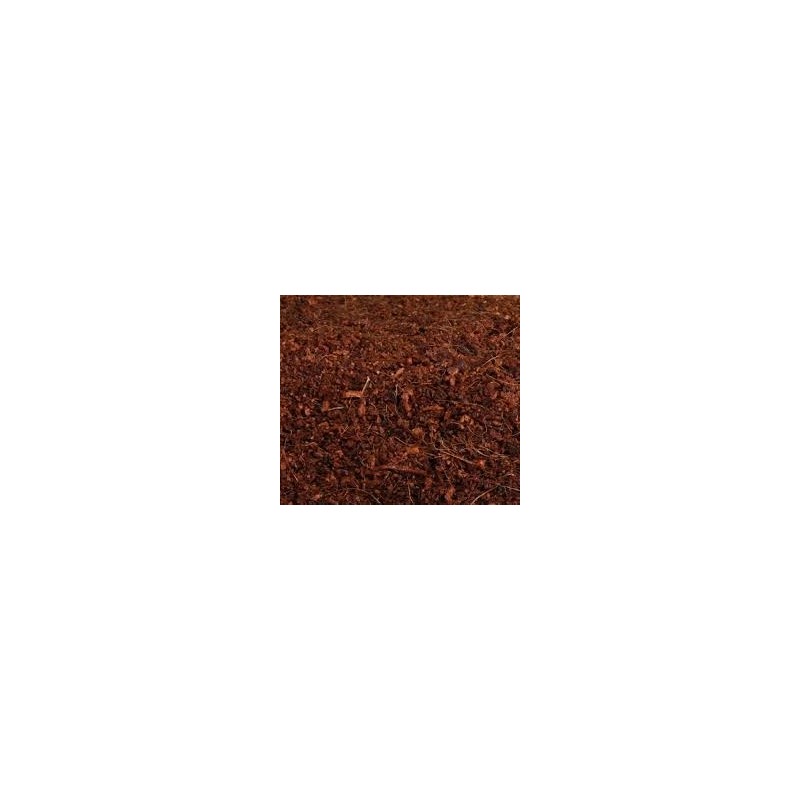 Peat Moss o Turba