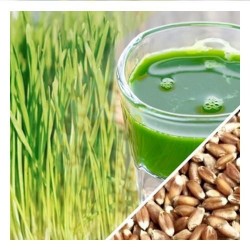 Kit para cultivar pasto de Trigo o Wheat Grass.  Haz Jugo!!!