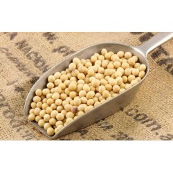 Soya O Soja - Glycine Max 10 Gramos