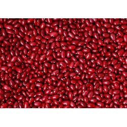 Frijol Sangre De Toro Organico Para Germinar Saco 20kg