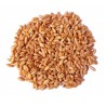 Triticum aestivum - Trigo dulce ORGANICO USDA Wheatgrass sin tratamiento Saco 20 Kilos