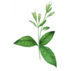 Stevia Hoja Pura Organica De Stevia 20 Gr Endulzante Natural