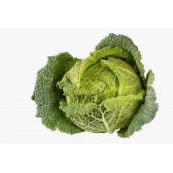 Kale O Col Rizada Berza  - Brassica