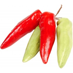 Capsicum Annuum -  Chile morita