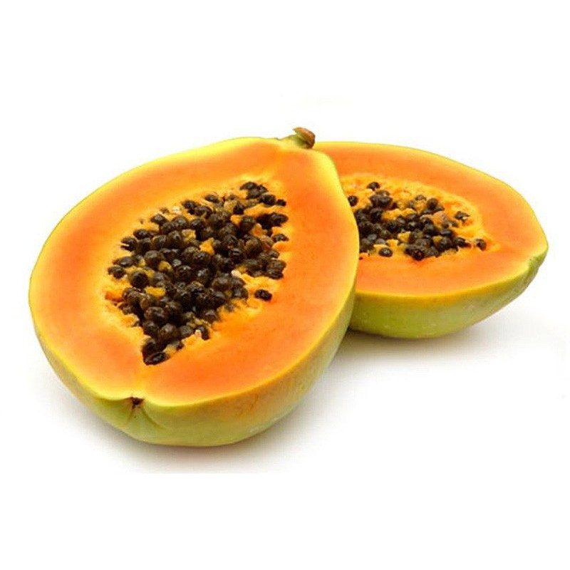 Papaya - Carica Papaya variedad Maradol