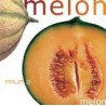 Cucumis Melo - Melón