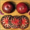 Tomate Heirloom, Morado Solanum - Lycopersicoides